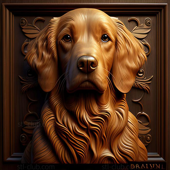 3D model st Barry the dog famous animal (STL)